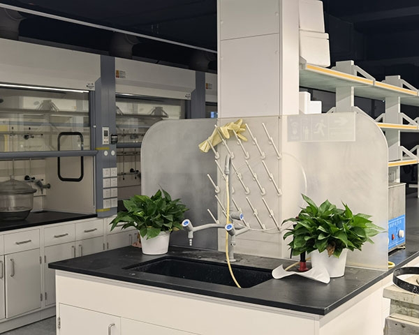 91香蕉APP在线观看