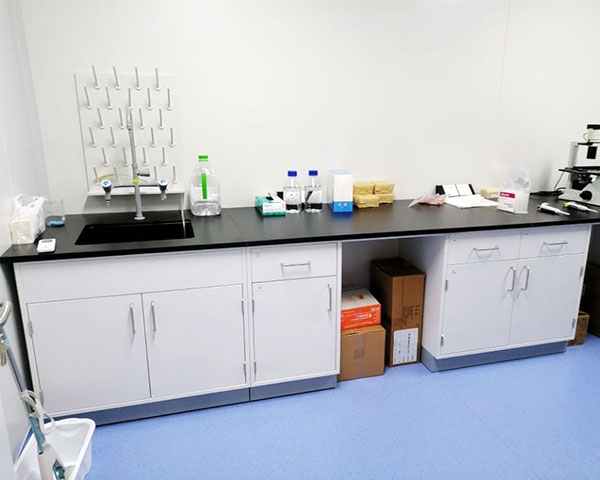 91香蕉APP在线观看